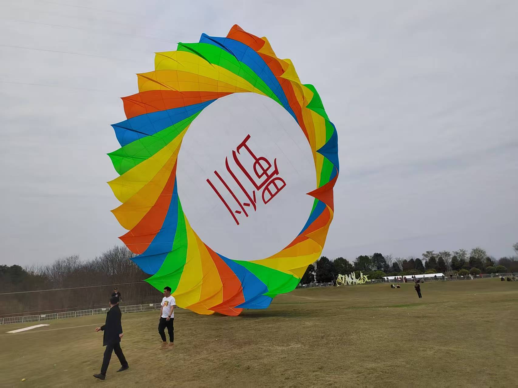 新乡市宣传风筝定制风筝批发 - 一站式服务