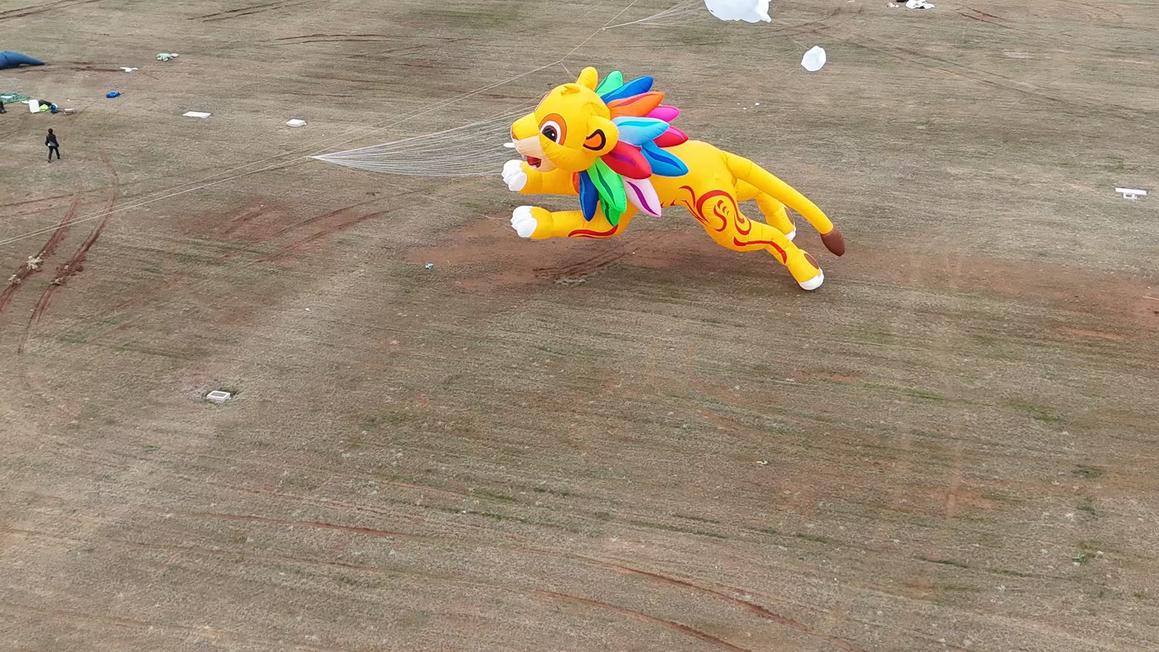 新乡市品牌风筝定制风筝商业放飞 - 排名